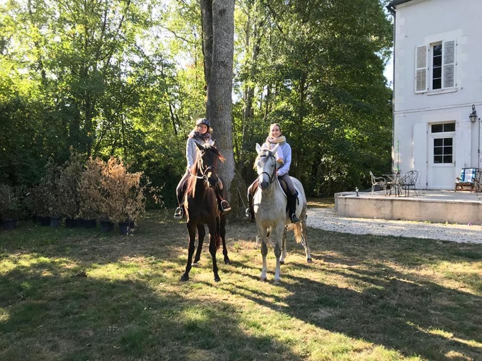 Villa corps de ferme avec piscine et chevaux à Venizy Extérieur photo